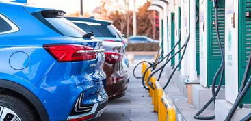 8月新能源汽车销量榜 新军崛起,纯电a级车 强抢地盘