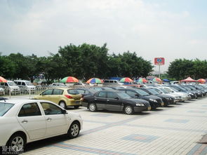 买车与租车哪个更划算 汽车租赁的全面分析