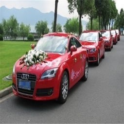 成都租车服务 便捷出行，随时出发